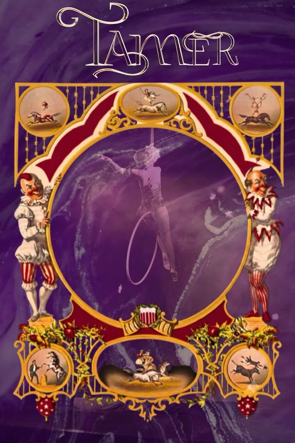 Cover art for Tamer