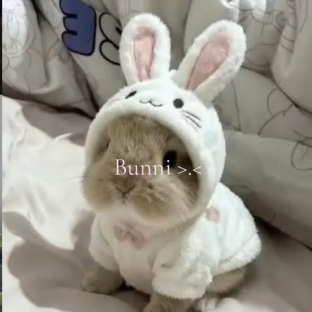 SojuPlease