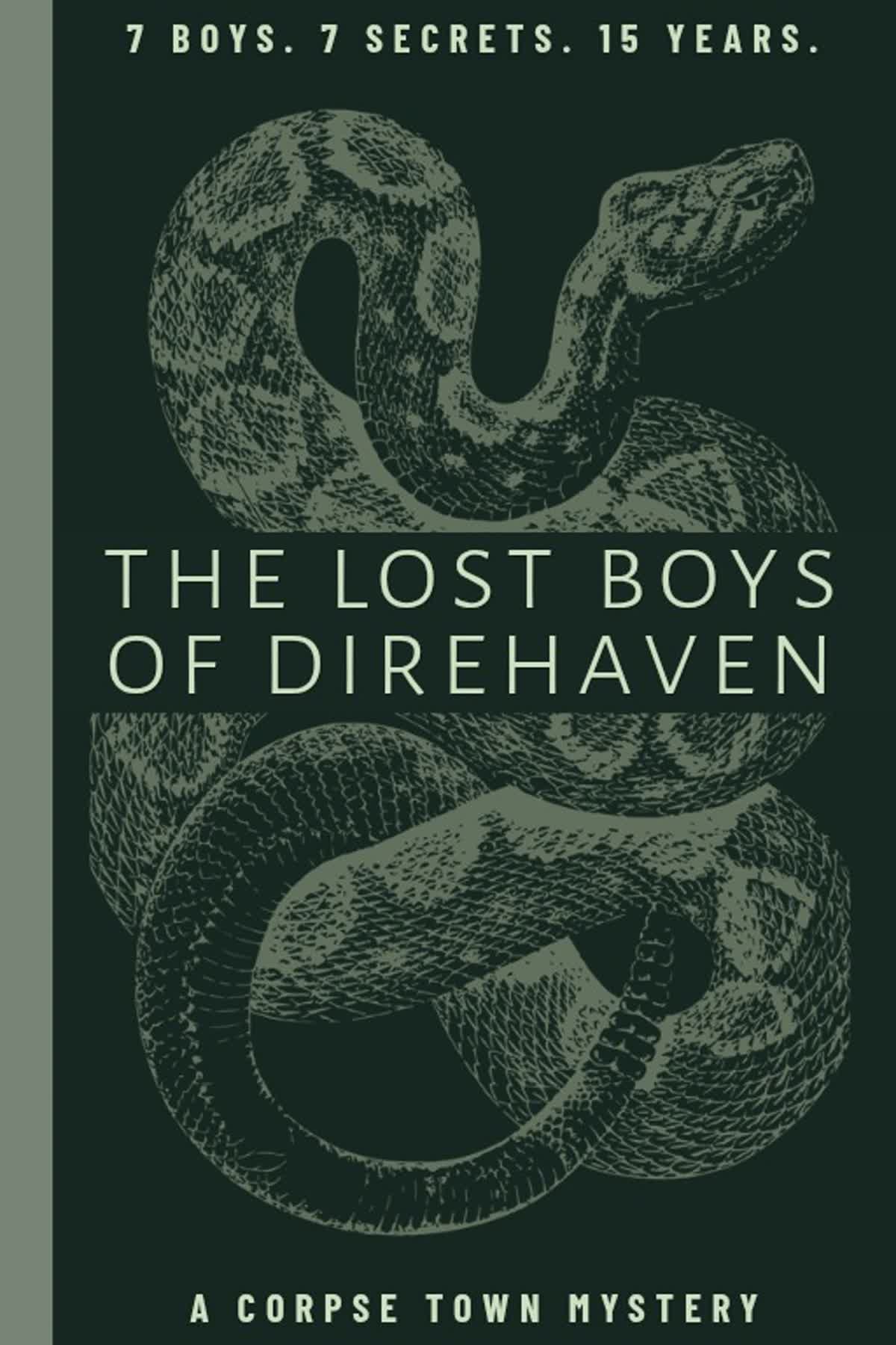 Cover art for The Lost Boys of Direhaven