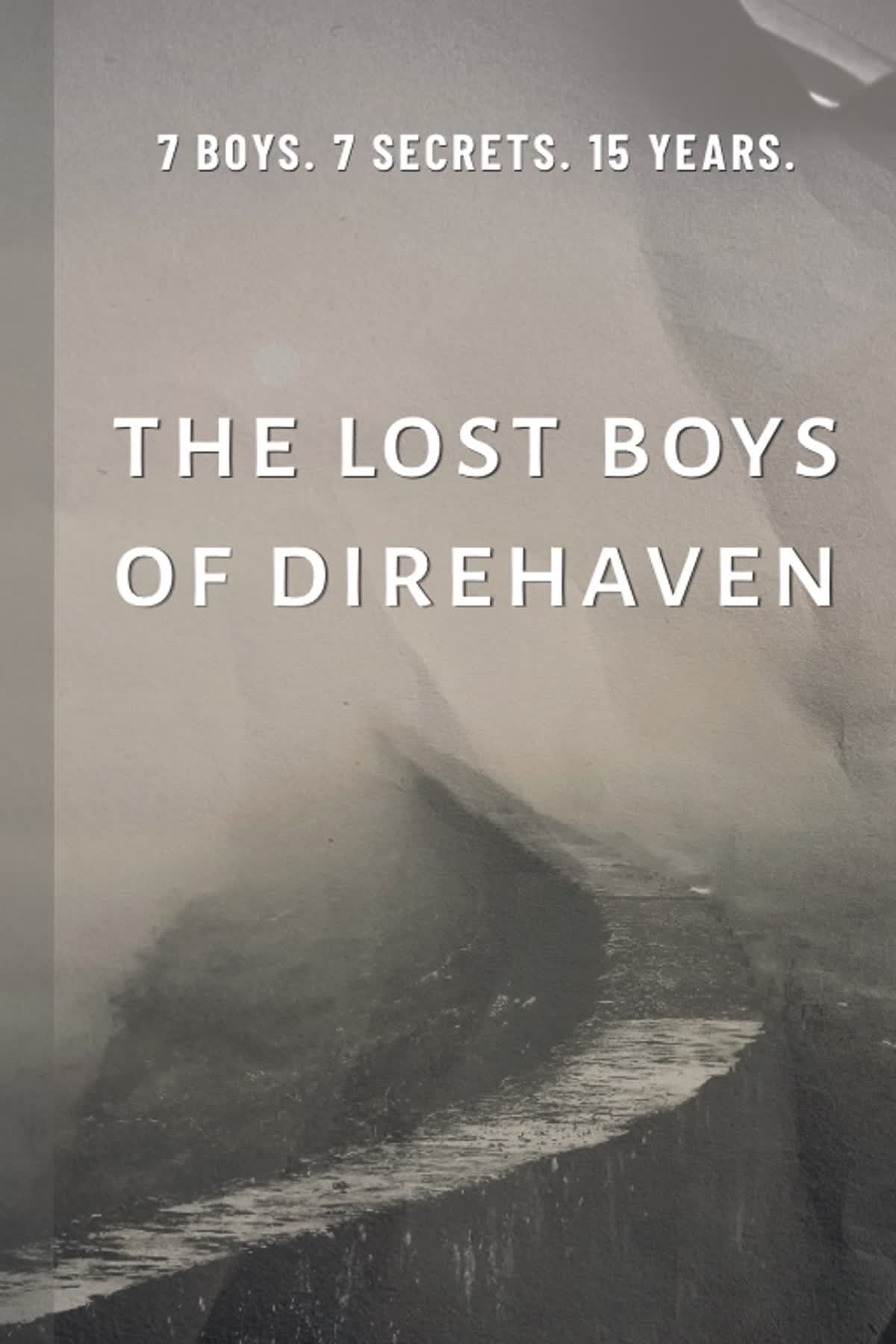 The Lost Boys of Direhaven cover