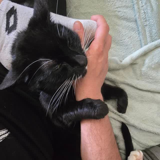 Pawpinss