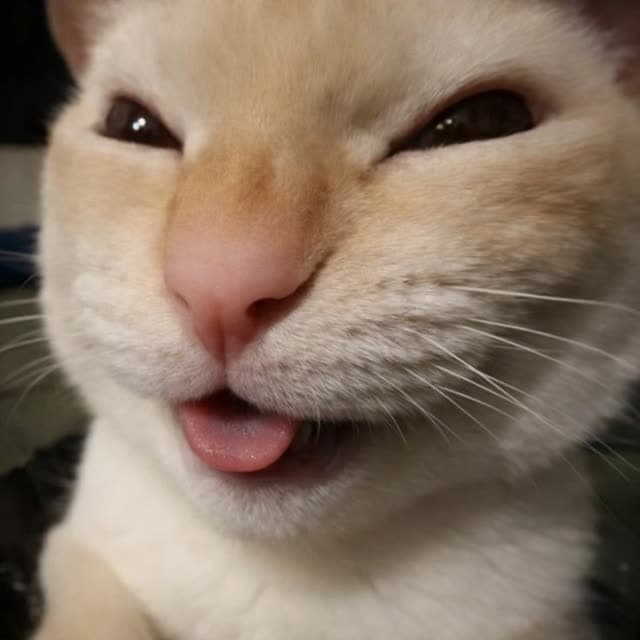 Onziee
