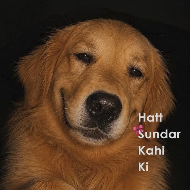 K D