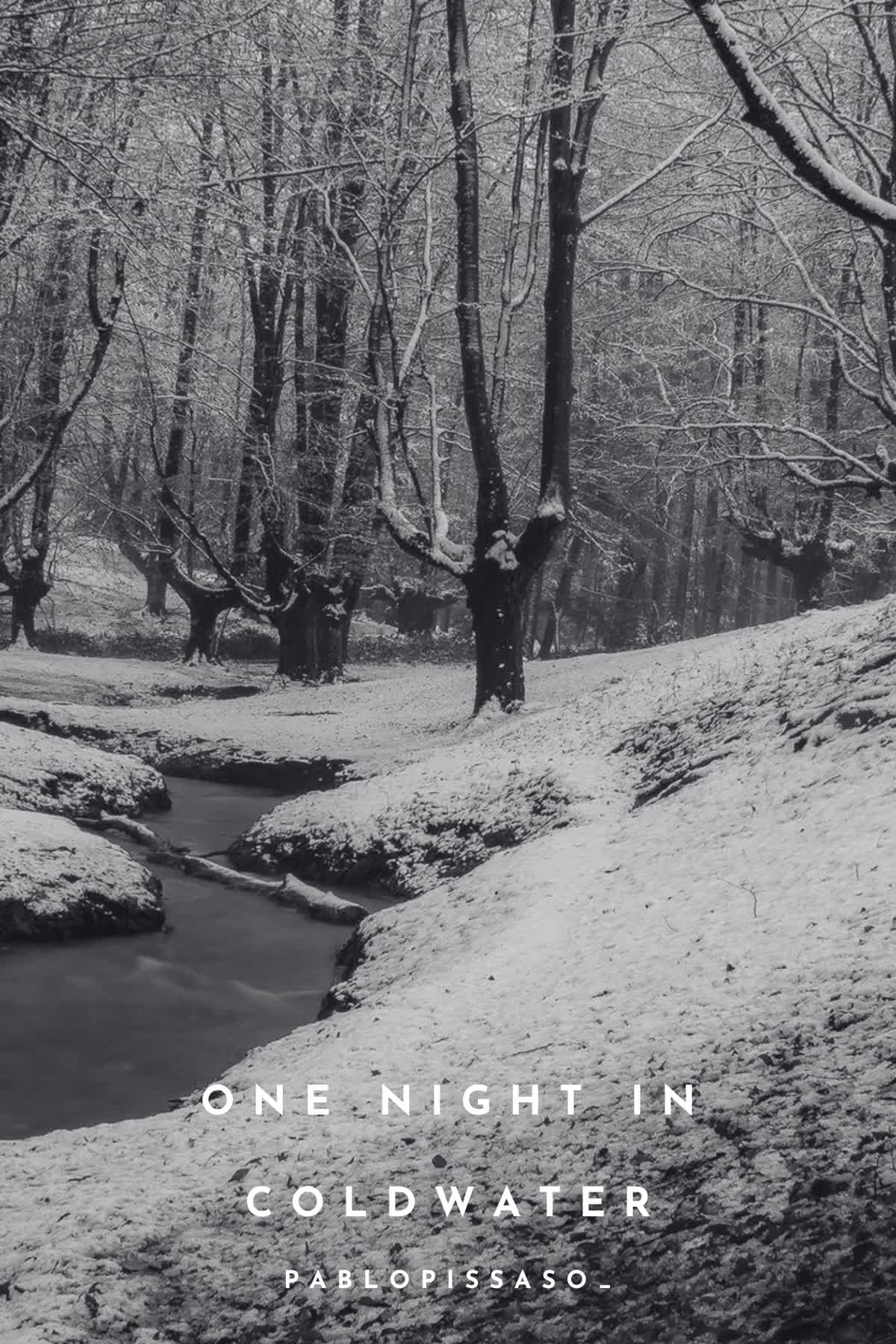 Cover art for One Night In Coldwater