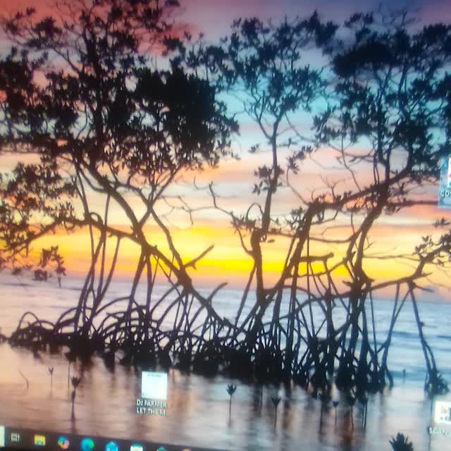 Jabu Malindi