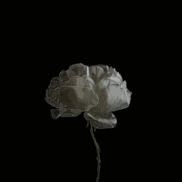 Giselle