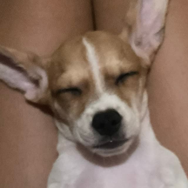 Cristina