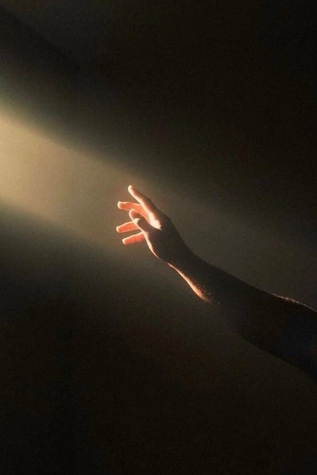 In your dreams cover